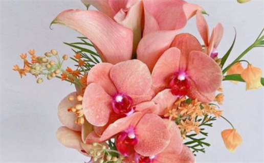 2025年12月26日结婚合适吗 今日办婚礼合适吗?