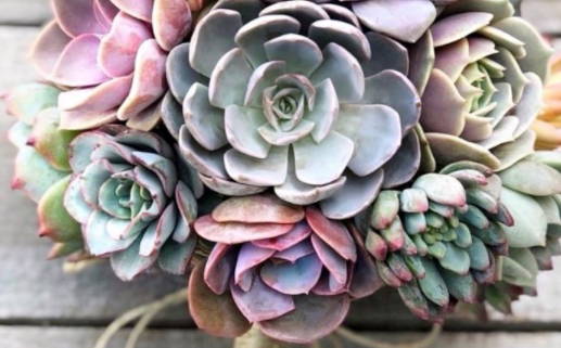 2025年12月30日是否为领证黄道吉日 登记结婚吉日宜忌查询