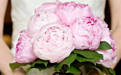 2026年农历冬月十九领证适合吗? 领证能算好日子吗