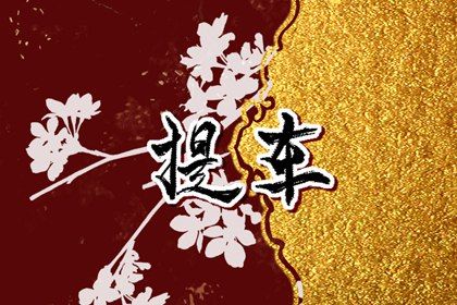 2025年07月10日这日子提车算黄道吉日不？ 今日提新车好吗
