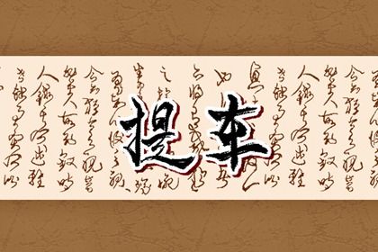 2025年07月09日提车是上上吉时吗？ 提车买车有问题吗？