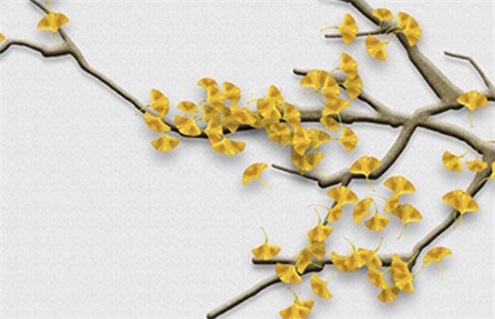 2025年11月28日装修合良辰吗？ 装修开工合适吗？