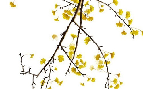 2025年11月29日装修合不合适? 今日装修新房好吗 2025年11月29日装修合不合适? 今日装修新房好吗