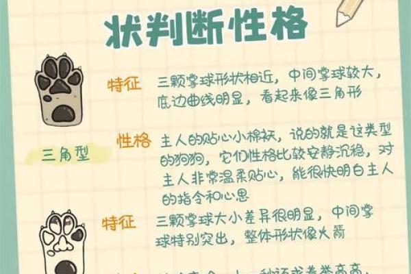 蓉五行格局揭秘：性格解析与如何改变命运？