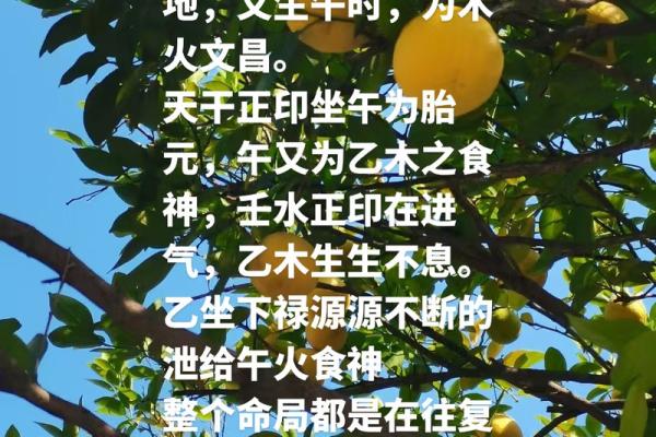丁酉年丁未月生的命运密码：揭开你人生中的暗藏玄机