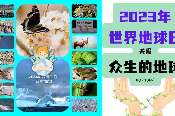 世界地球日：环保行动与可持续生活方式