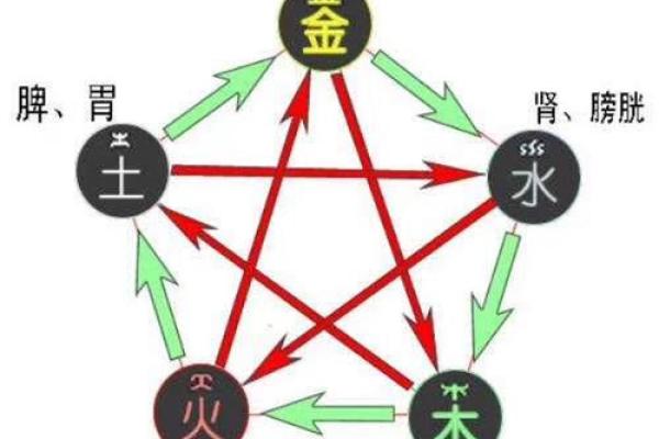 性格解析新视角：五行格局教你读懂自己