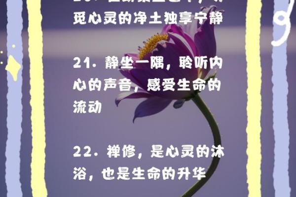 禅定节：冥想修行，体悟内心宁静