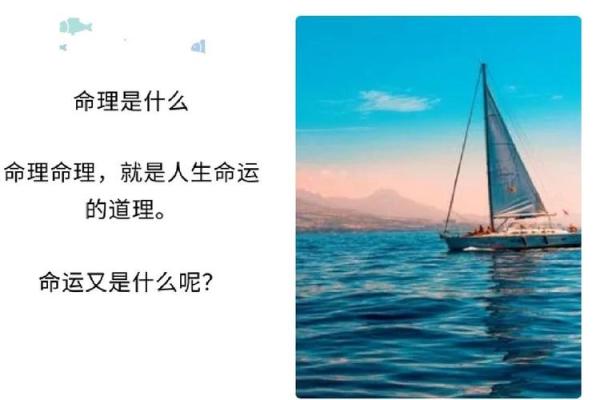 癸未月命理中的暗藏玄机，你是否陷入了命运误区？
