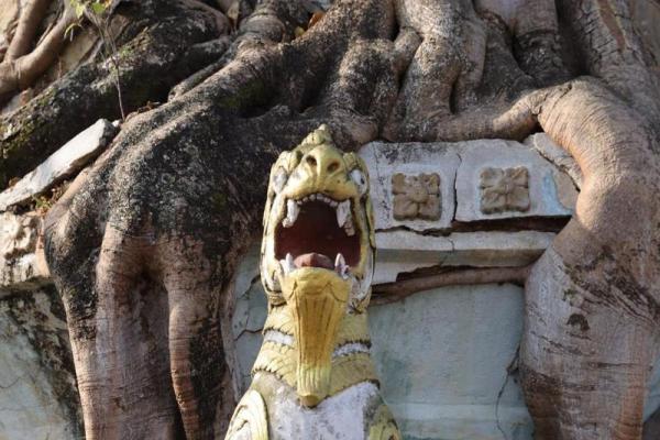 傣族新年：祭祀与祝福，感悟自然与生命