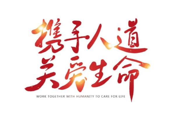 国际红十字日,关注人道主义精神与社会责任 国际红十字日,关注人道主义精神与社会责任