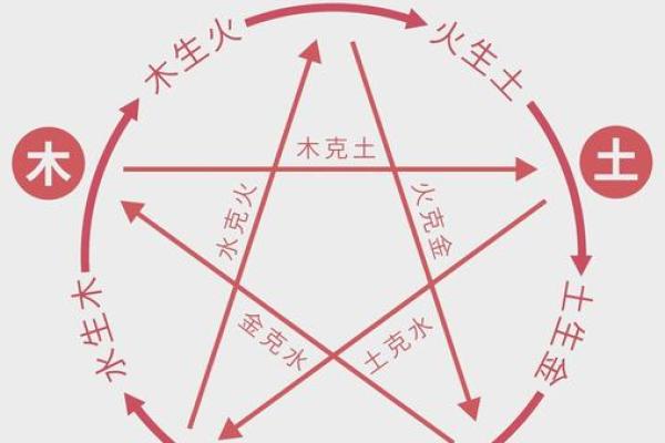 如何改变：火木五行格局，教你如何扭转命运走向