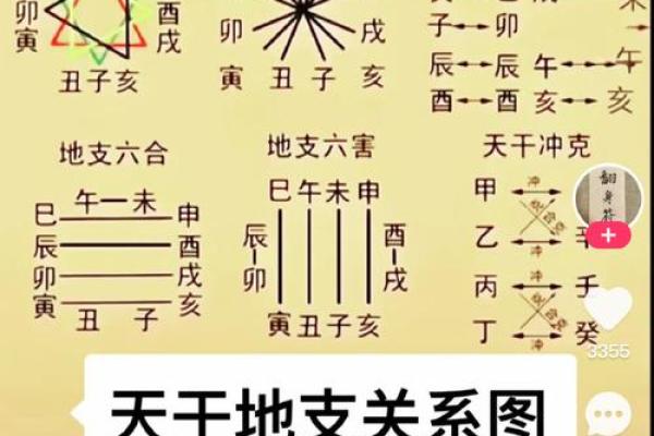 五行格局揭秘：木火组合，如何成就非凡性格解析？