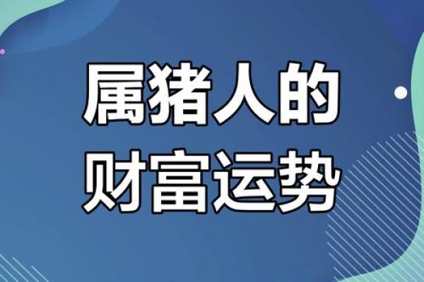 性格解析大揭秘：猪在五行中的独特格局，你了解多少？