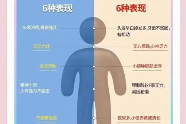 误区揭秘：腿短身子长的男生命理真相与你想象的不同