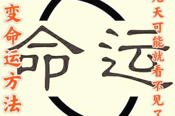如何改变命运？八字命理告诉你哪些做法反而会让你走向偏路