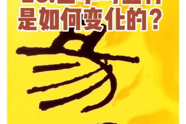 如何改变五行格局？揭秘你的职业天赋与潜能