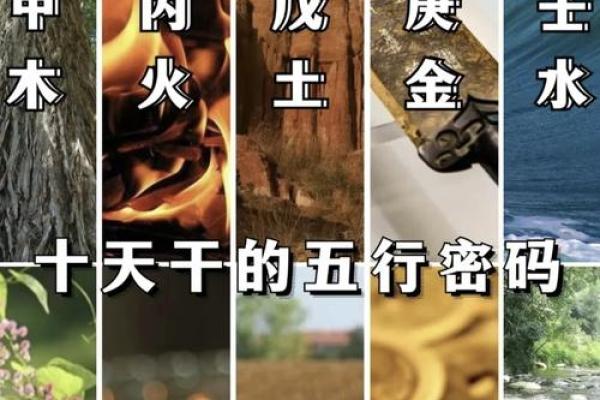 五行格局如何改变？揭秘瑶的性格密码，助你焕发新生活