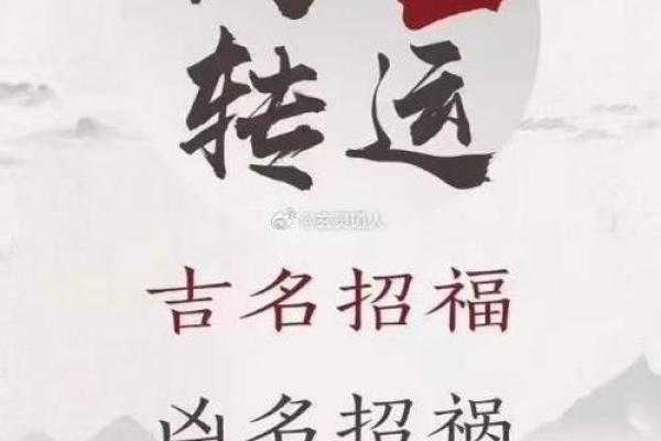 巾箱命理中的命运密码：你忽视的关键因素决定一生运势