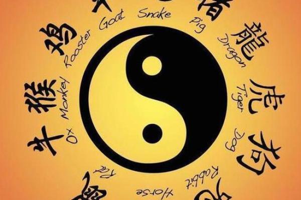 甜馨命理探秘：八字中的玄机，命运的反向颠覆之道