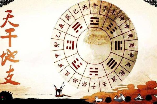莲花五行格局揭秘：打破性格解析的误区，你真的了解自己吗？
