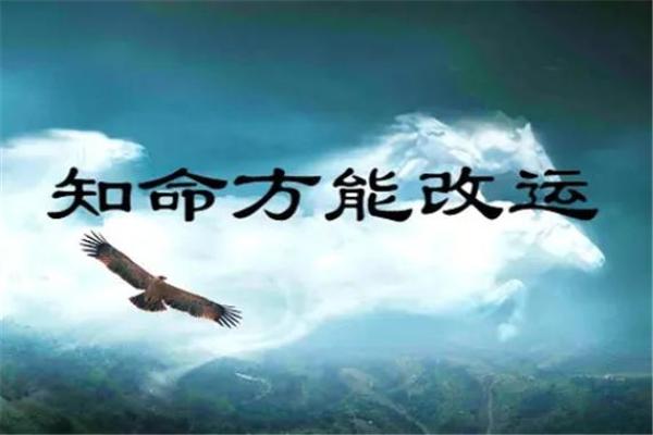 如何改变命运？从帅哥的八字看命运的深层玄机