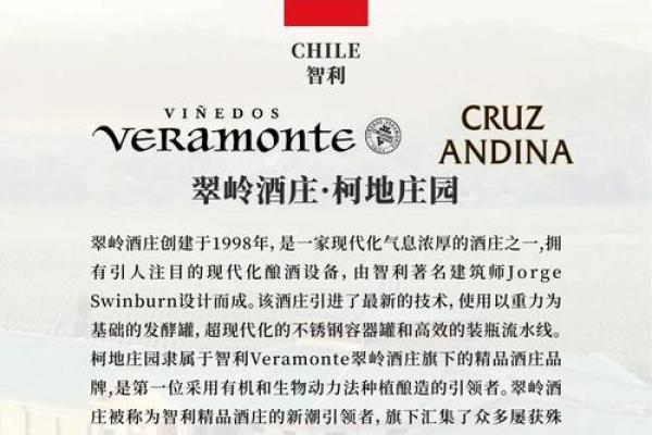 智利葡萄丰收节：品味美酒，传承农业文化