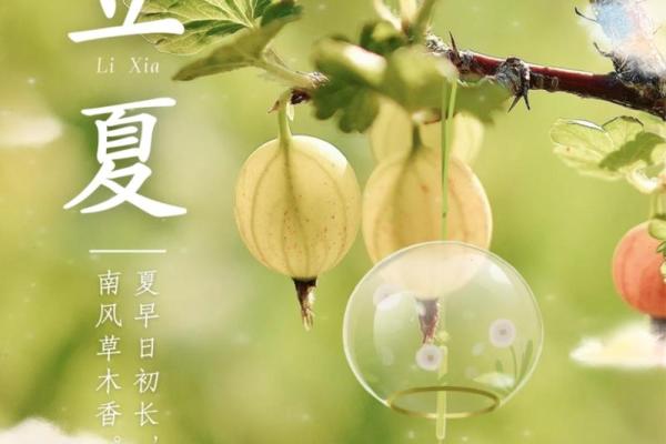 立夏：夏日初临，养生与消暑的智慧
