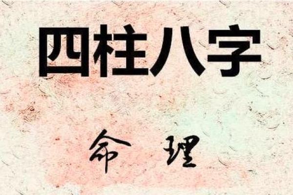 属猪命理误区剖析 你可能忽视的命运关键