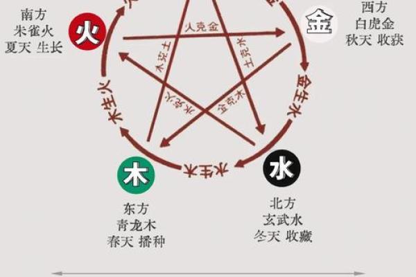 胡五行性格解析：五大元素如何影响你的命运？
