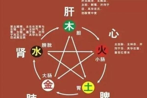 滕五行格局误区大揭秘：你真的了解自己的五行属性吗？