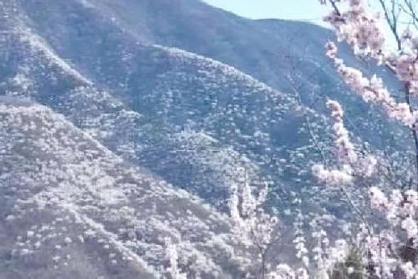 阴历山野祈福，感悟春天的力量