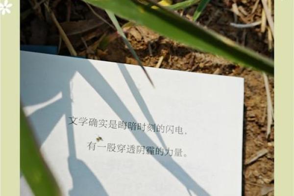 阴历山野祈福，感悟春天的力量