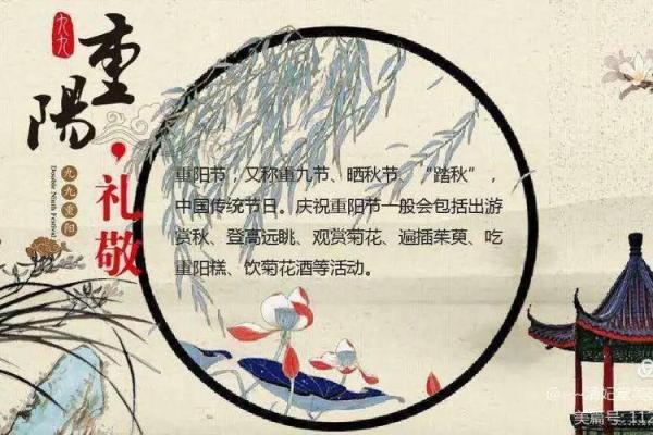 重阳：菊花与美酒，庆祝长寿的文化