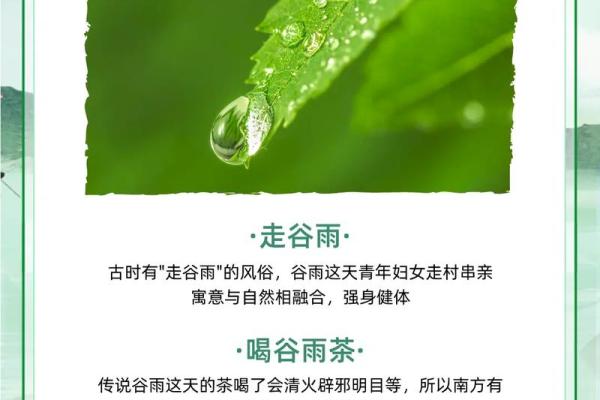 谷雨：春雨润物，农业与自然的和谐之美