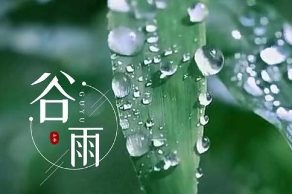 谷雨：春雨润物，农业与自然的和谐之美