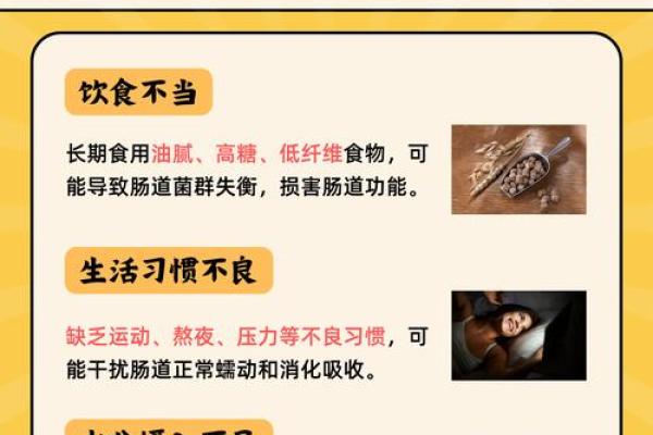 肠道五行误区大揭秘：性格解析反而让你更健康，如何改变你的生活？