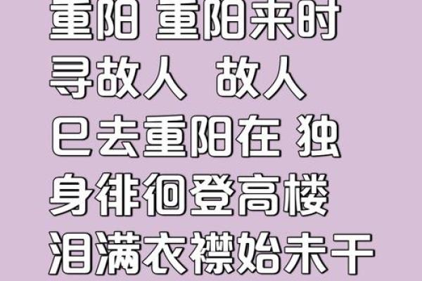 重阳：登高望远，感悟自然与生命