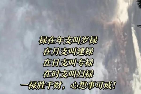 解密命运密码，八字解析助你走向人生巅峰