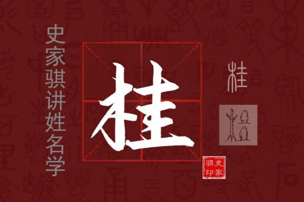 五行格局误区大揭秘：巽卦真的只是柔顺吗？