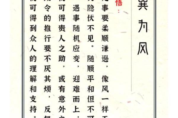 五行格局误区大揭秘：巽卦真的只是柔顺吗？
