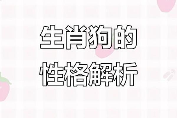 乖字五行格局解析：揭秘性格密码，如何巧妙改变运势？