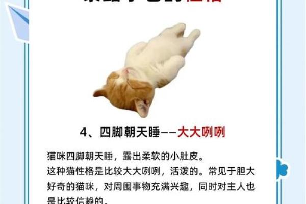 洁字五行颠覆传统：揭秘性格解析的反面教材