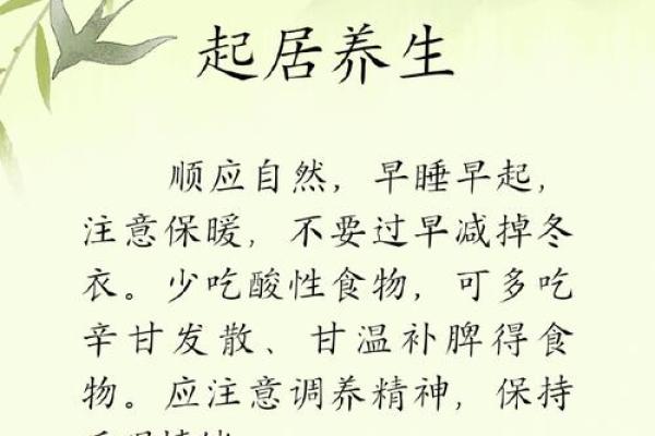 立春：迎春纳福，感悟自然之道