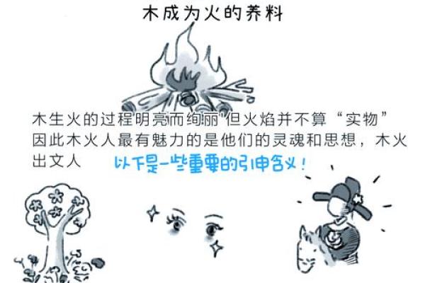 生肖狗五行误区大揭秘：颠覆传统性格解析的真相