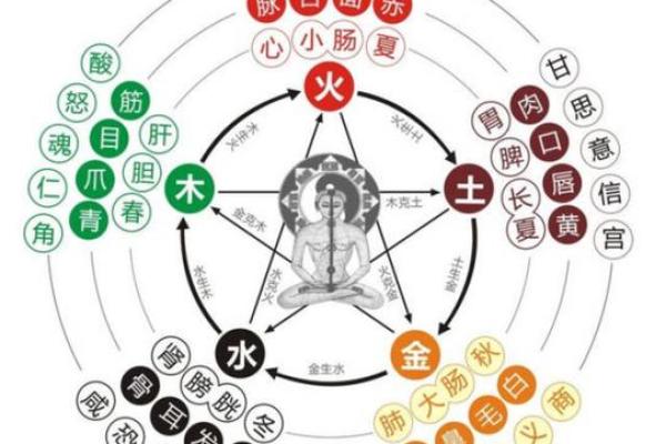 采字五行格局揭秘：性格解析如何影响人生走向？
