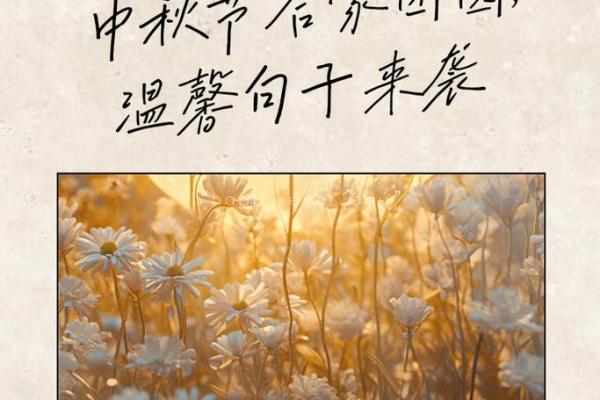 中秋节：赏月团圆，共话家国情怀