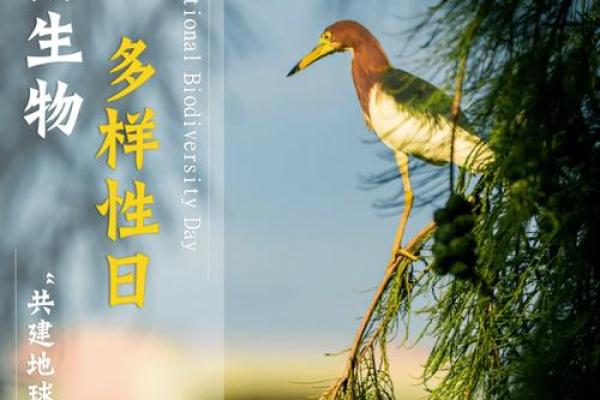 国际生物多样性日，保护自然多样性，守护地球未来