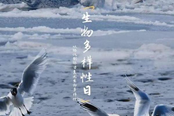 国际生物多样性日，保护自然多样性，守护地球未来