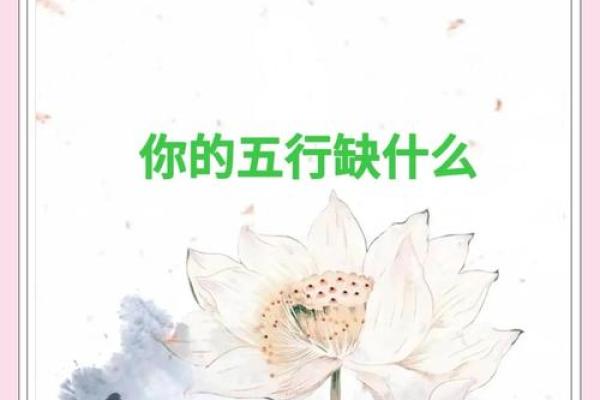 五行格局性格解析误区：瀚五行格局如何正确解读，避免走进性格塑造的误区